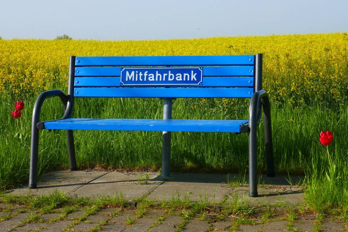 Foto einer blauen Mitfahrbank vor einem gelben Rapsfeld