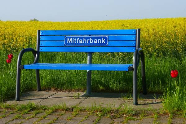 Foto einer blauen Mitfahrbank vor einem gelben Rapsfeld