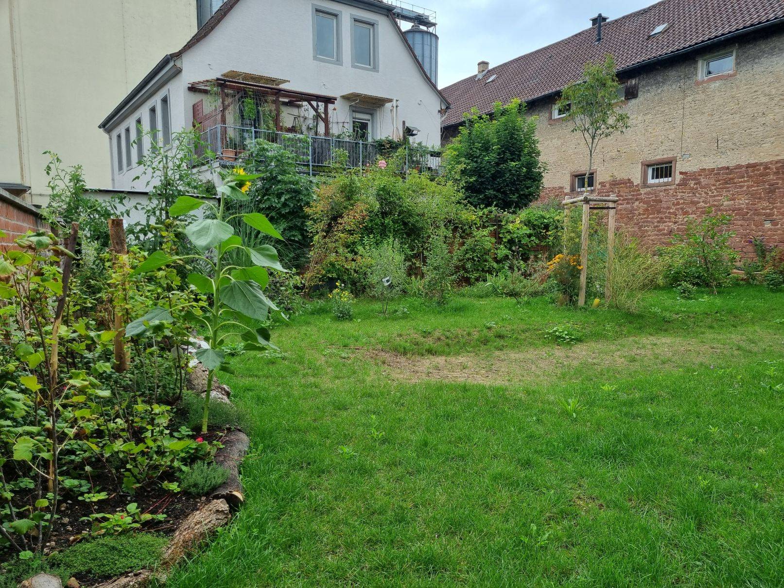 Gartenfläche mit gemischter naturnaher Hecke als Umrandung