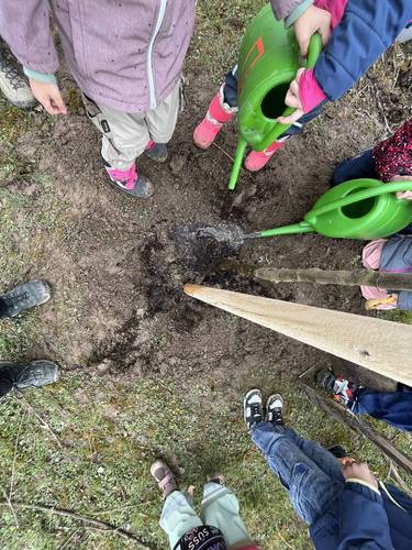 Foto der Pflanzaktion aus der Perspektive von oben. Die Kinder gießen den frisch gepflanzten Baum mit zwei grünen Kannen