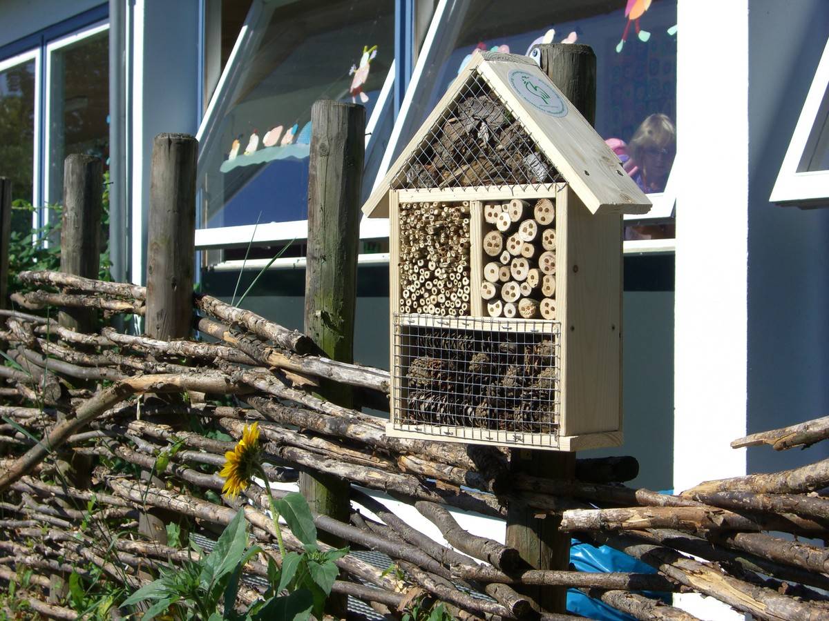 Bienenhotel und Benjeshecke vor einer Fensterfrong